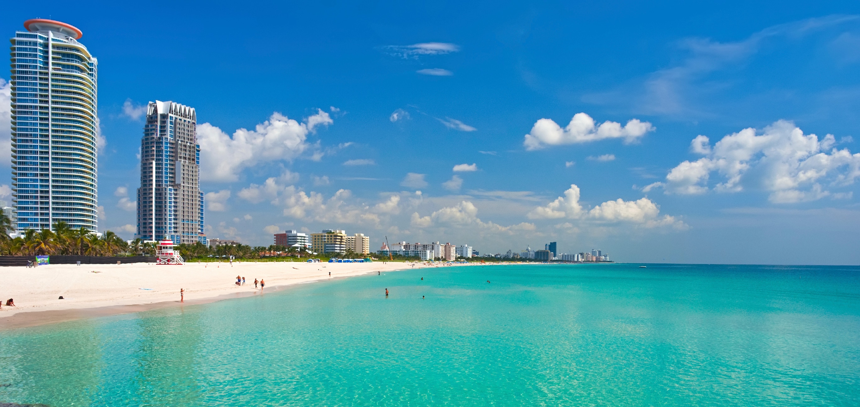 Miami Back Pages Ts